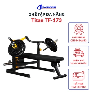 Ghế tập đa năng Titan TF-173 - Titan Sport