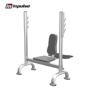 Ghế Đẩy Vai Impulse IT7031