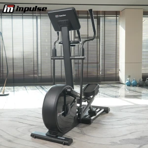 Xe Đạp Trượt Tuyết Impulse FGE300