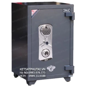 Két sắt thân vỏ thép dày 10ly Truly TS81HD-CF