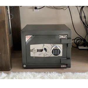 Két sắt Truly TS39VT mini vân tay thép dày 12 ly chống trộm