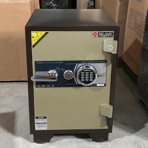 Két sắt vân tay điện tử Hàn Quốc Trusafe TH635