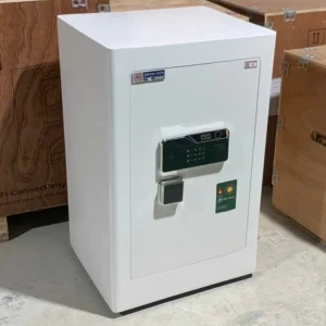 Két sắt Việt Nhật VN-100AK nhận điện khuôn mặt