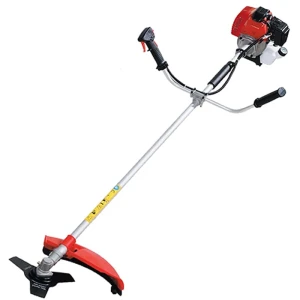 Máy phát cỏ đeo vai Bgas BGA2634F 1HP