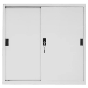 Tủ tài liệu 2 cánh lùa TPT-S2C