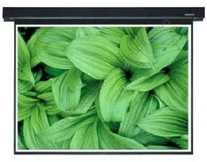 Màn Chiếu Điện Apollo 120 inch ELS220 (84x84 inch)