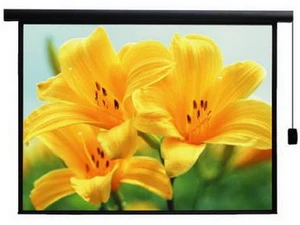 Màn Chiếu Điện  Apollo 135 inch ELS240 (96x96 inch)