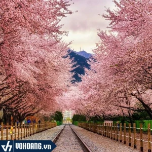 Sim/Esim Du Lịch Hàn Quốc - Nhiều Gói Cước Và Thời Gian Sử Dụng