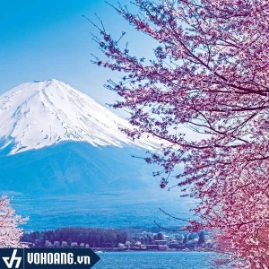 Sim/Esim Du Lịch Nhật Bản - Nhiều Gói Cước Và Thời Gian Sử Dụng