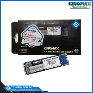 Ổ Cứng SSD KINGMAX SSD M.2 Sata III 256GB SA3080