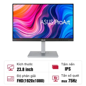 Màn hình Asus ProArt PA247CV-P 23.8-inch IPS 75Hz