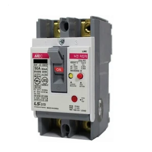CB chống giật LS EBE102Fb 100A 2P 30mA 5kA