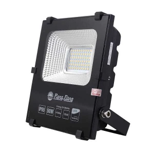 Đèn Pha LED Rạng Đông CP06 50W