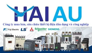 Rơ le thời gian (Timer) Hanyoung T38A-6N-A