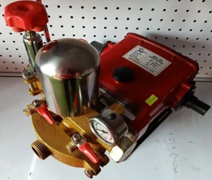 Đầu xịt Mitsukaisho Dragon HS 30 (2 HP)