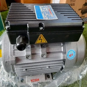Động cơ điện Motor Toàn phát 1 HP - 0.75 KW