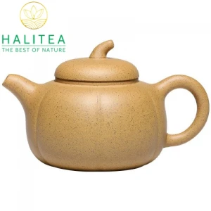 Ấm Tử Sa Cà Đoạn Chi Ma Đoạn Nê 240ml