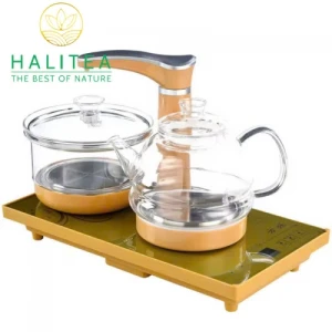 Bộ Bếp Điện Đôi Thủy Tinh Pha Trà Tự Động