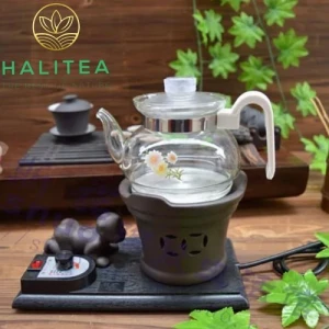 Bộ Bếp Điện Gốm Sứ Ấm Thủy Tinh 700ml