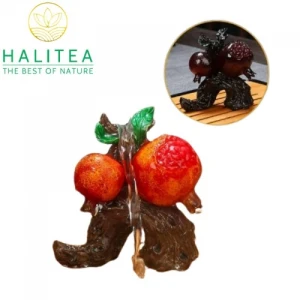 Cây Lựu Đổi Màu Trang Trí Bàn Trà