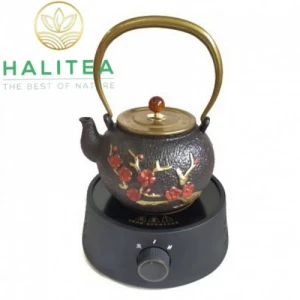 Set Bộ Bếp Điện Ấm Gang Tetsubin Pha Trà Cao Cấp