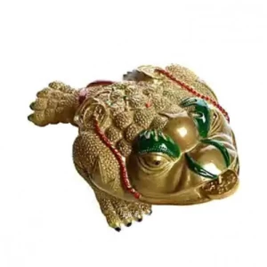 Thiềm Thừ Đổi Màu Trưng Bàn Trà