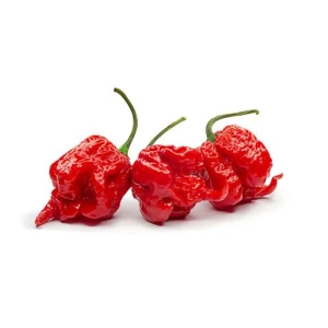 Ớt Cay Carolina Reaper 8-13 Trái/Gói 200G