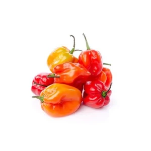 Ớt Habanero 200G