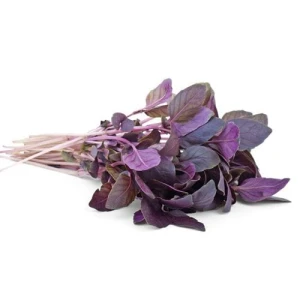 Quế Tây Tím 100G