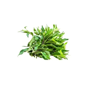 Rau Lủi Rừng Bio Ngon 300G