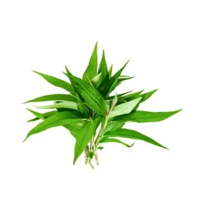 Rau Răm Hữu Cơ 100G