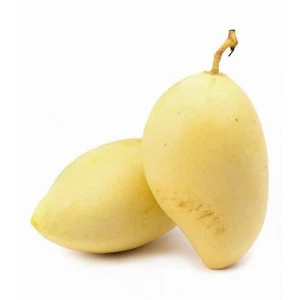 Xoài Cát Chu Vàng 500G