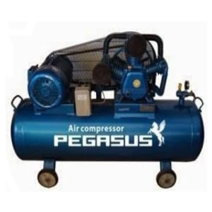 Máy nén khí dây đai Pegasus TM-W-0.67/8-500L 7.5HP