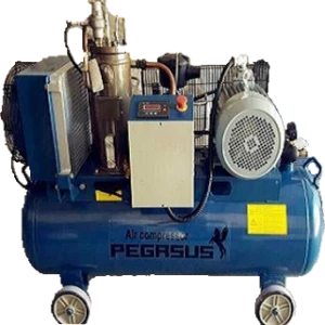 Máy nén khí trục vít Pegasus TMTV-10A