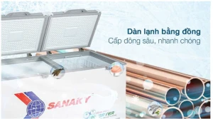 Tủ đông Sanaky Inverter 305 lít TD.VH4099A4K(SG)