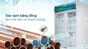 Tủ mát Sanaky 1100 lít VH-1209HP