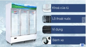 Tủ mát Sanaky 1400 lít TM.VH1520HP