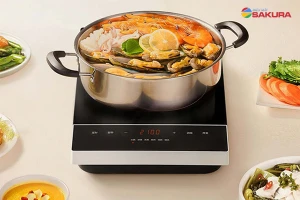 Bếp từ đơn loại nào tốt? Top bếp từ đơn tốt nhất 2025