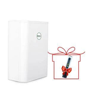 Máy Lọc Nước RO Side - Stream A.O Smith S600