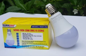 Đèn Cảm Ứng Chuyển Động Vi Sóng RS81B-9W