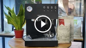 Máy Pha Cà Phê Duo 19 Ascaso