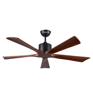 Quạt trần Solid 5B