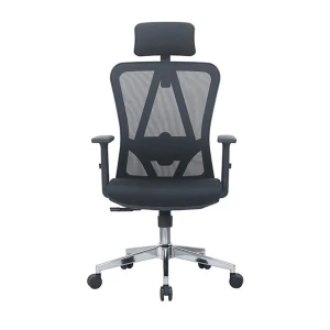 Ghế công thái học E-Dra EEC213 Black