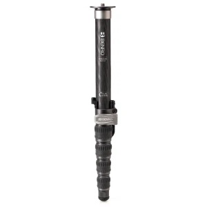 Chân máy quay Benro Monopod MSD46C (Chính Hãng)
