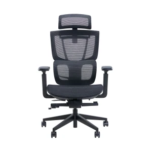 Ghế công thái học Epione ErgoChair Pro 2.0 | All Black (Chính Hãng)