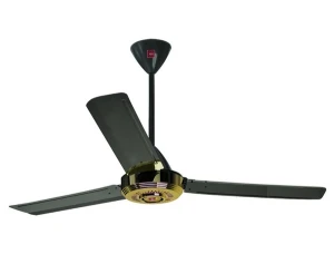 Quạt Trần KDK N56YG - Hàng Chính Hãng