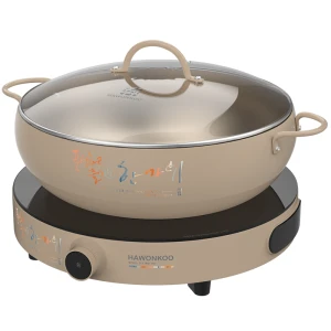 Bếp từ đơn Hawonkoo CEH-101-I-CF/GR