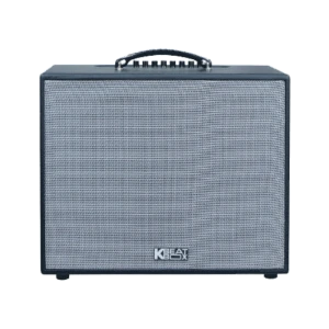 Loa xách tay Acnos CS25D300 250w Bass25 (2mic)