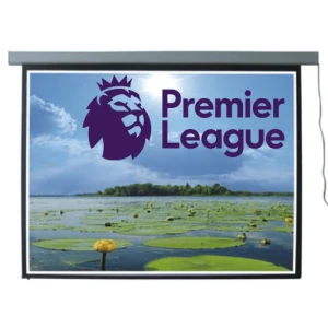 Màn chiếu điện Ecoscreen(P70ES) 70