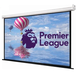 Màn chiếu treo tường Ecoscreen(P96WS) 96